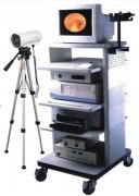 ����ȫ������������