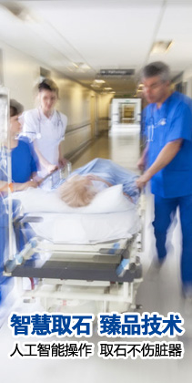 �ǻ۱������� ��Ʒ����